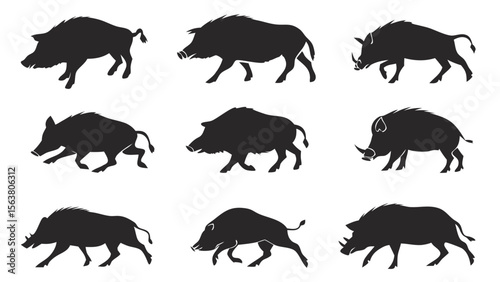 Silhouette Collection of Wild Boars and Pigs in Natural Poses, Isolated on White Background for Animal and Wildlife Vector Design
