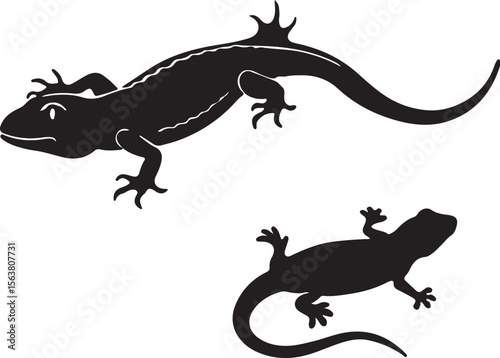 Silhouette illustration of a lizard on a white background