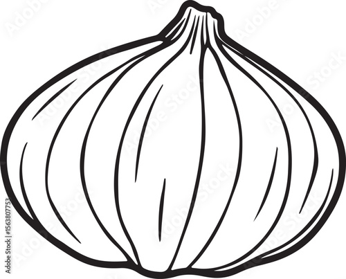 Onion vector illustration showing fresh whole and sliced onions in a colorful isolated design