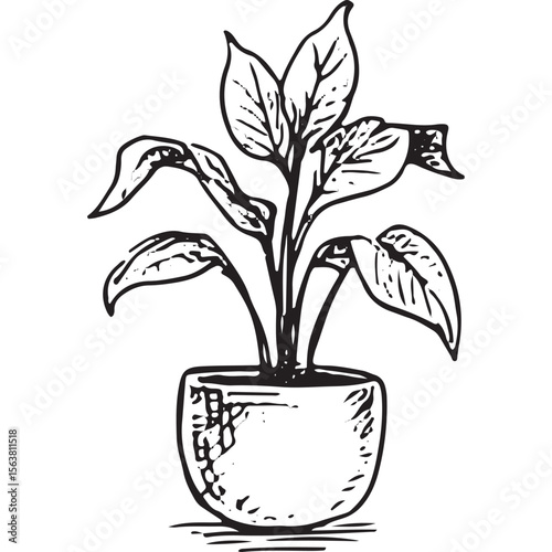 Stylish hand-drawn potted plant with broad leaves, perfect for home decor, botanical art, and interior design inspiration