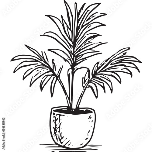 Elegant hand-drawn tall leafy plant in a pot, ideal for home decor, botanical art, and interior design projects