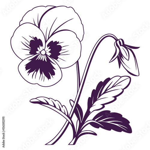 Pansy isolated Flower silhouette