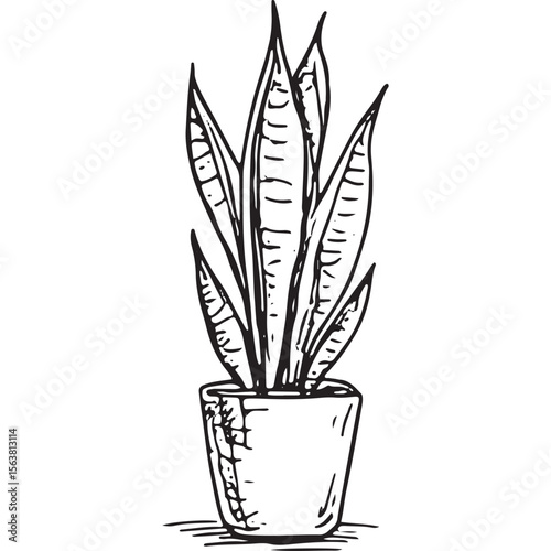 Elegant hand-drawn tall leafy plant in a pot, ideal for home decor, botanical art, and interior design projects