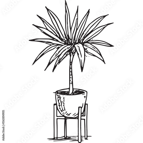 Elegant hand-drawn tall leafy plant in a pot, ideal for home decor, botanical art, and interior design projects