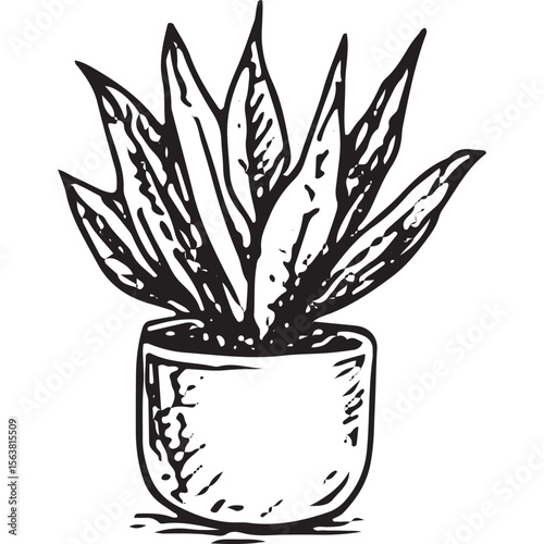 Elegant hand-drawn tall leafy plant in a pot, ideal for home decor, botanical art, and interior design projects