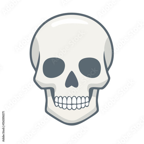 Skull Isolated on a Transparent Background 