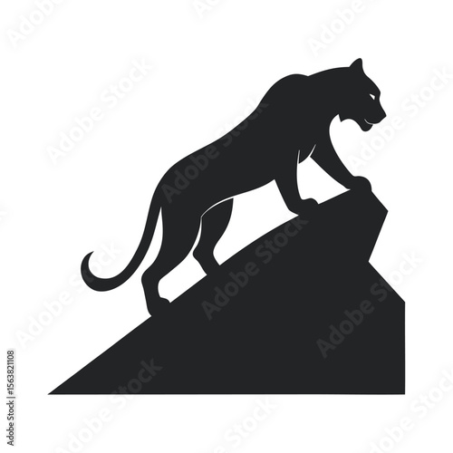 Tiger Climbing Up Steep Rocky Hill