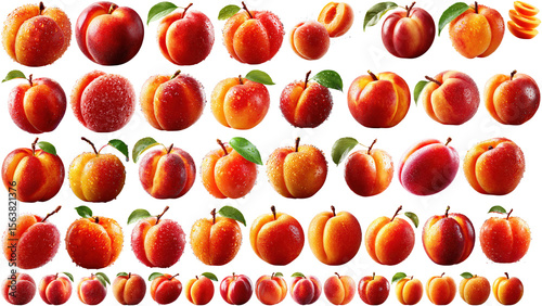 Set of Apricot floating png