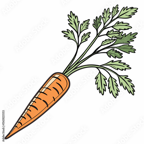 Stylized Cartoon Carrot with Green Leaves and Black Outlines Isolated on White