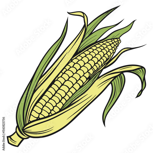 A ripe ear of corn with a full harvest of golden kernels
