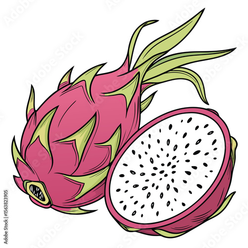 Vibrant illustration of a whole and a halved fresh dragon fruit
