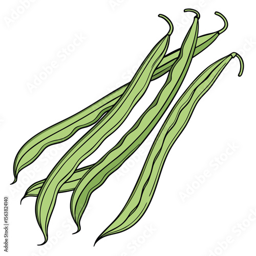 A vibrant and stylized illustration of freshly picked green beans on white
