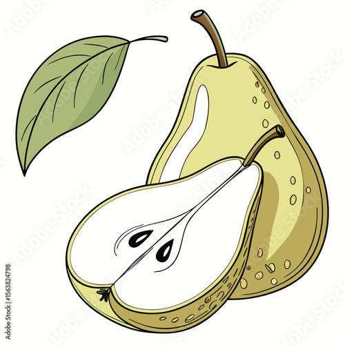 Elegant illustration of two pear halves with a green leaf on white