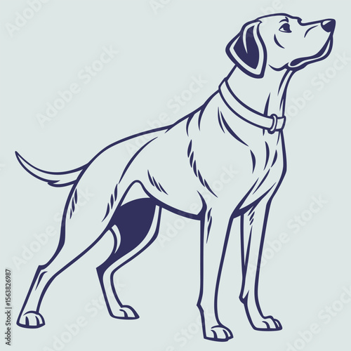 Elegant monochromatic depiction of a noble dog breed standing alert and attentive