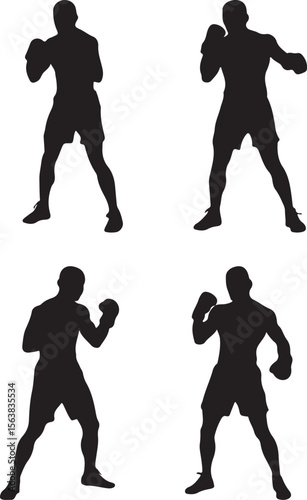 muscular male fighter stance