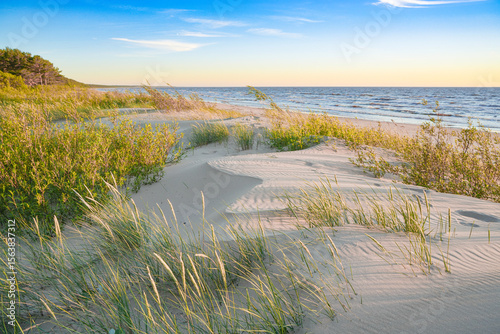 Fototapeta Naklejka Na Ścianę i Meble -  sand with texture in dunes by the sea