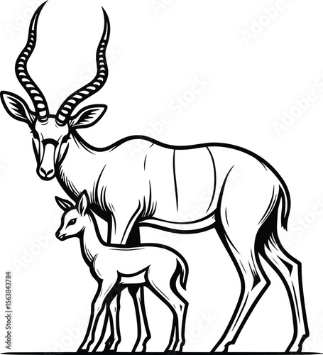 Antelope Doe and Fawn Line Drawing vector illustration isolated on a white background