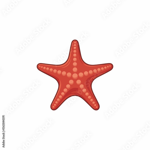 starfish isolated on white background