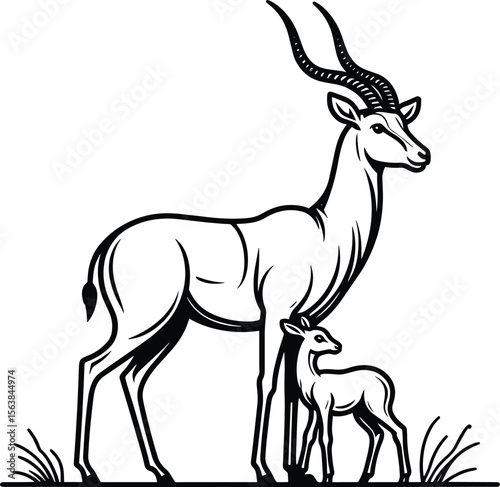 Antelope Doe and Fawn Line Drawing vector illustration isolated on a white background