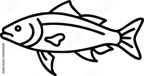 asian carp line arts with white background