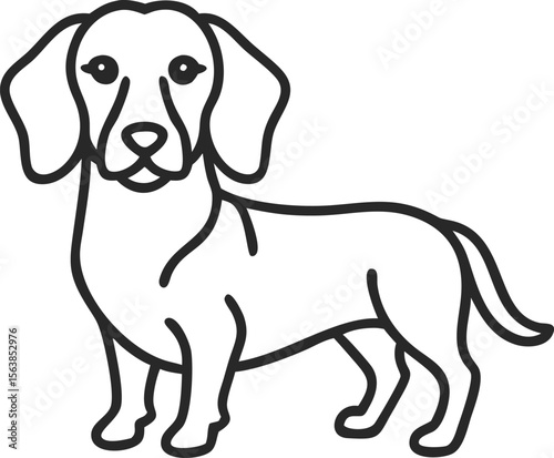 alpine dachsbracke line arts with white background 