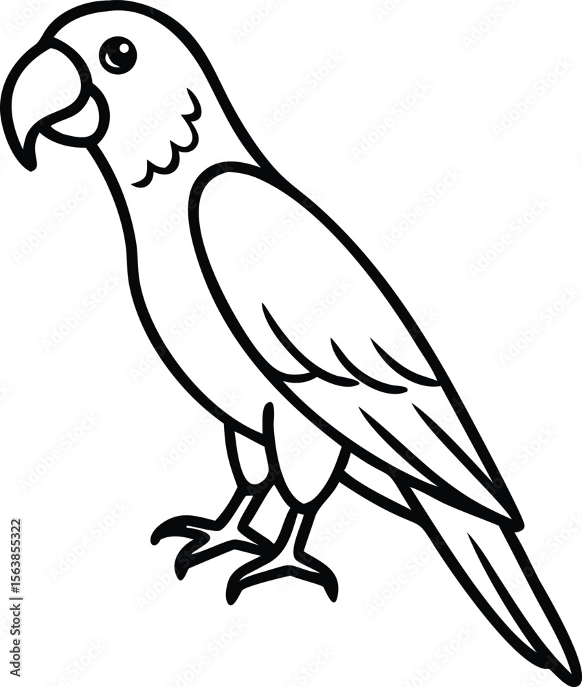 Fototapeta premium african grey parrot line arts