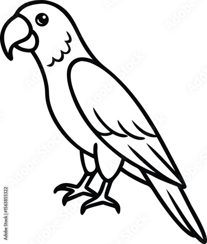 african grey parrot line arts