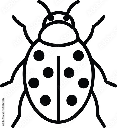  asian lady beetle line arts with white background.eps