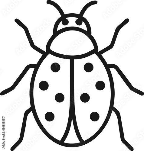  asian lady beetle line arts with white background (6).eps