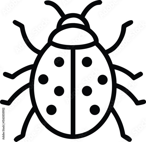  asian lady beetle line arts with white background 