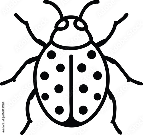  asian lady beetle line arts with white background 