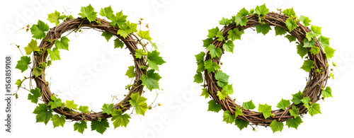 Circular Wreath Made of Green Vine Tendrils, Transparent PNG.
