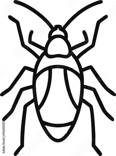  asian cockroach line arts with white background 