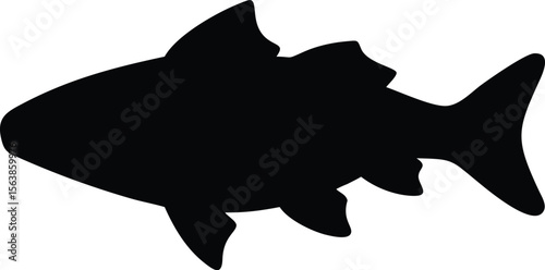  arctic char line arts with white background