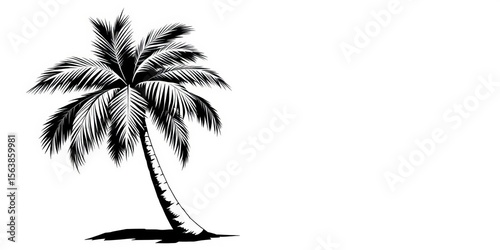 Wallpaper Mural Stylized black and white vector illustration of a palm tree with three trunks,  tropical,  line art Torontodigital.ca