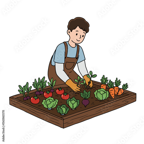 Boy watering garden plants vegetables in raised bed. Great for gardening education, sustainable living, or farming content.