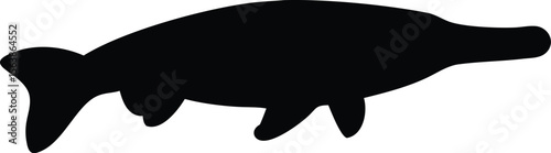  alligator gar line arts with white background