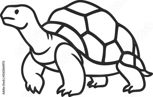  aldabra giant tortoise line arts 