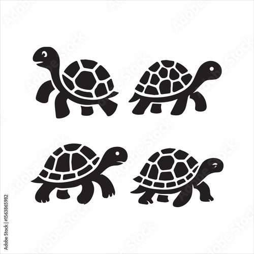 Vector turtle silhouette of a isolated on a white background, Vector illustration