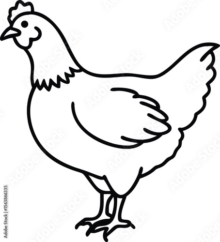 australorp chicken  line arts 