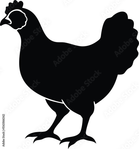  australorp chicken  line arts 