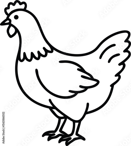  australorp chicken  line arts 