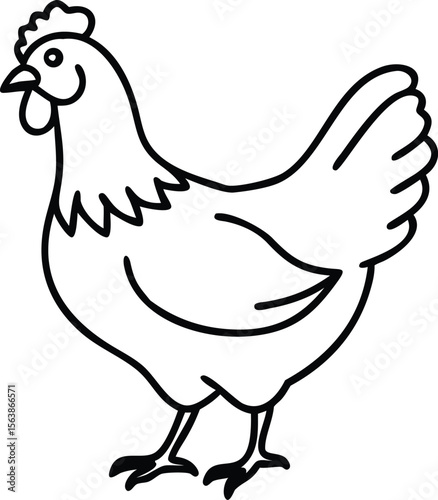  australorp chicken  line arts 
