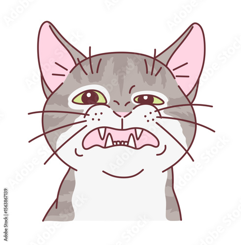 The cat made a face of surprise and disgust. Cute cats series.
