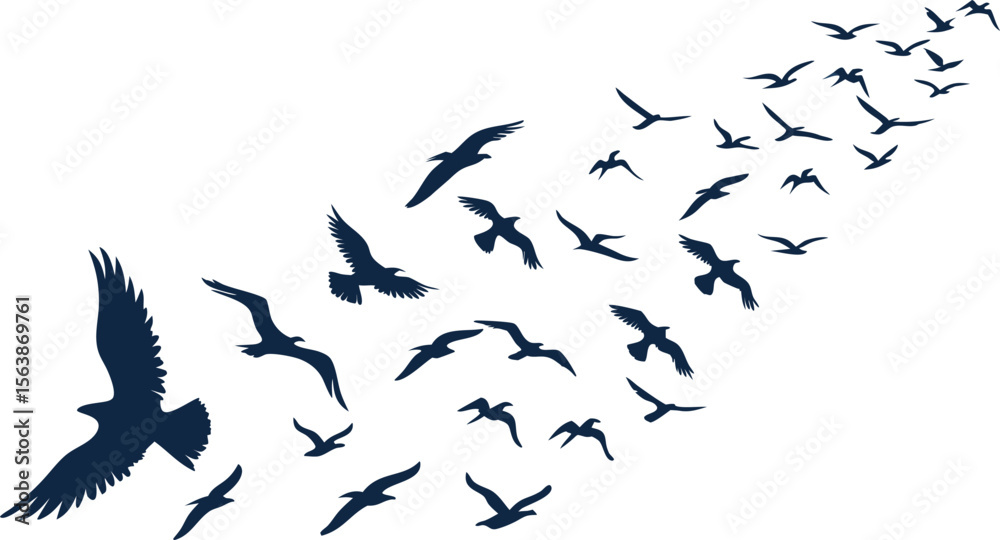 Fototapeta premium A beautiful set of flying bird silhouettes, featuring a flock of seagulls soaring gracefully across the sky. This design captures the freedom and elegance of nature’s avian travelers in motion.