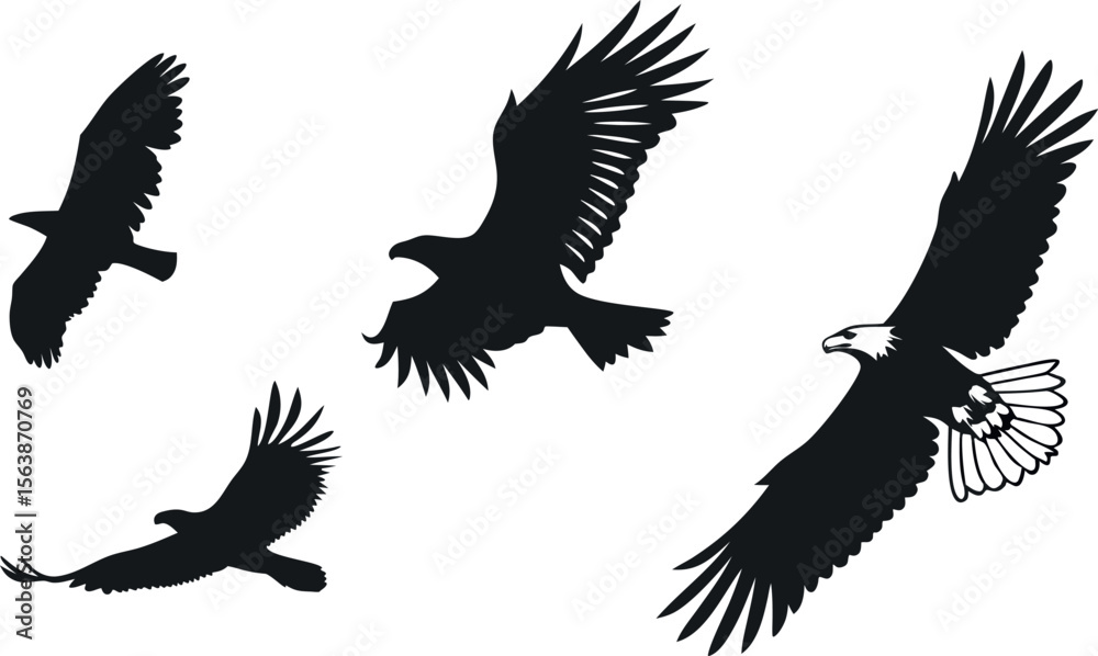 Fototapeta premium A striking vector illustration of an eagle soaring through the sky in bold black silhouette style, symbolizing power, freedom, and grace. Perfect for designs representing strength and majesty.