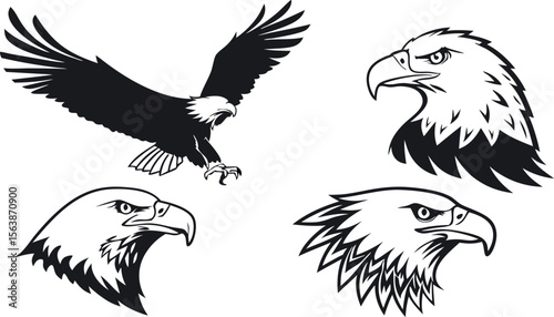 Dynamic vector illustration of a black eagle in flight, a majestic symbol of wildlife