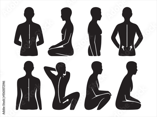 Human body silhouettes showing spine alignment and posture variations