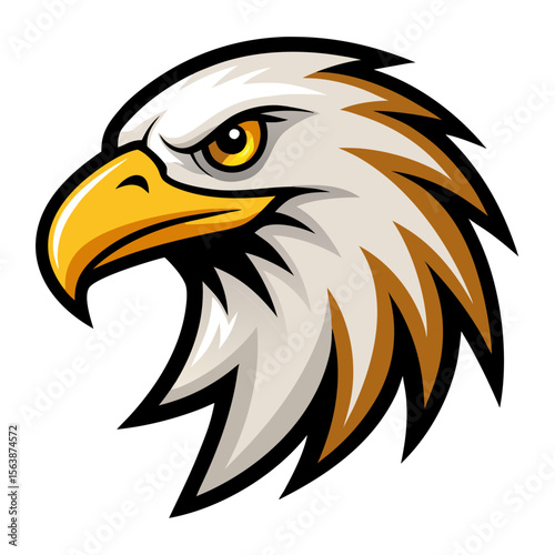 american bald eagle with white background