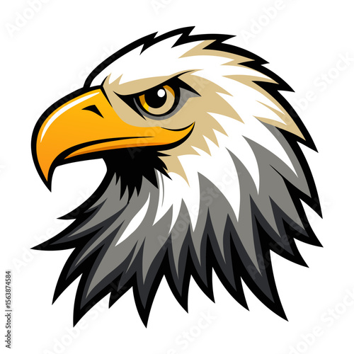 bald eagle vector illustration